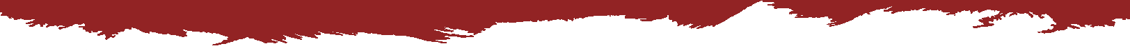 Header theming Bonn2go